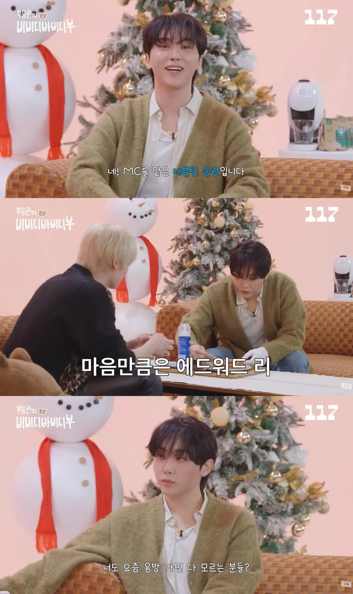 SEVENTEEN胜宽首挑单独MC新综艺《부승관의 비비디바비디부》，搭档Stray Kids李诺展现反转综艺感