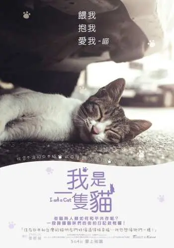 纪录片《我是一只猫》影评：街猫生态与台日韩文化差异解析