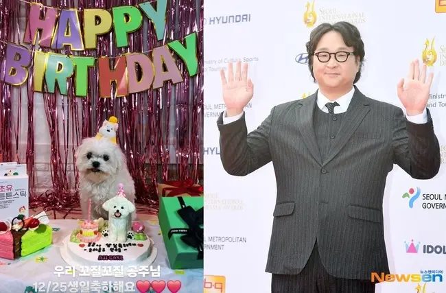 构成焕为爱犬花粉庆生　用《我独自生活》记录温暖日常
