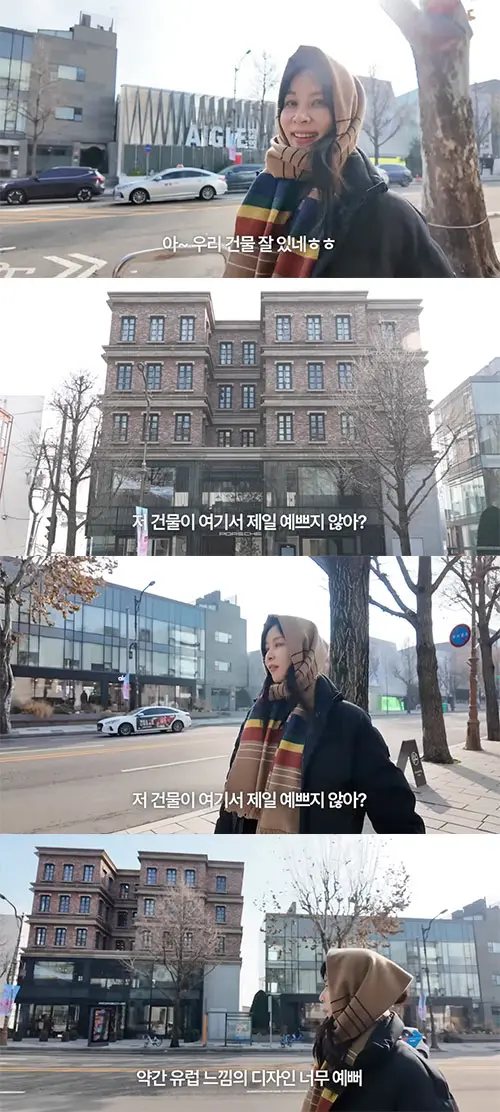 韩国网友对高素荣炫富视频的愤怒评论截图