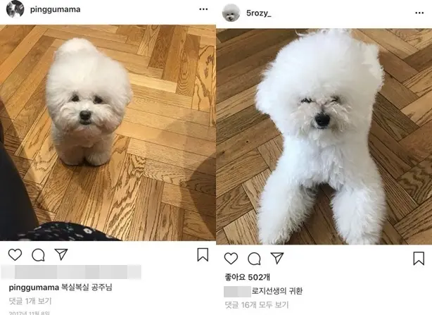网友通过黄宝拉与车正元社交媒体照片对比发现恋爱证据