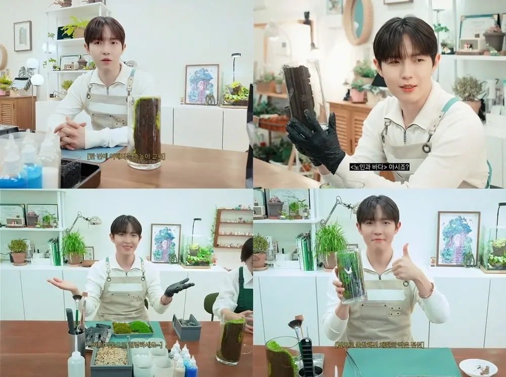 金在奂分享近期身材管理日常,将生态缸泥土联想成巧克力的可爱瞬间