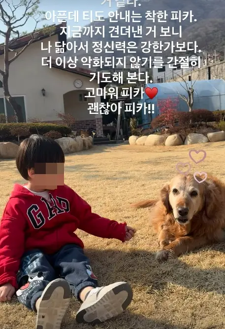伴侣犬Pika与孩童在院子里安静相伴的温馨画面