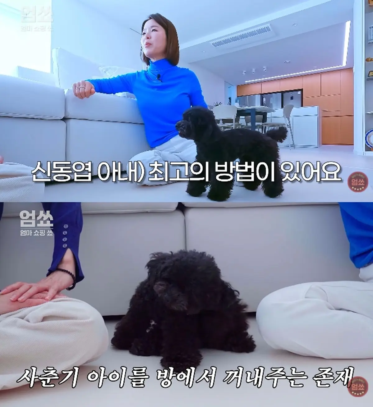 申东烨妻子宣惠润PD通过养宠物狗帮助女儿度过青春期情绪封闭的育儿秘籍