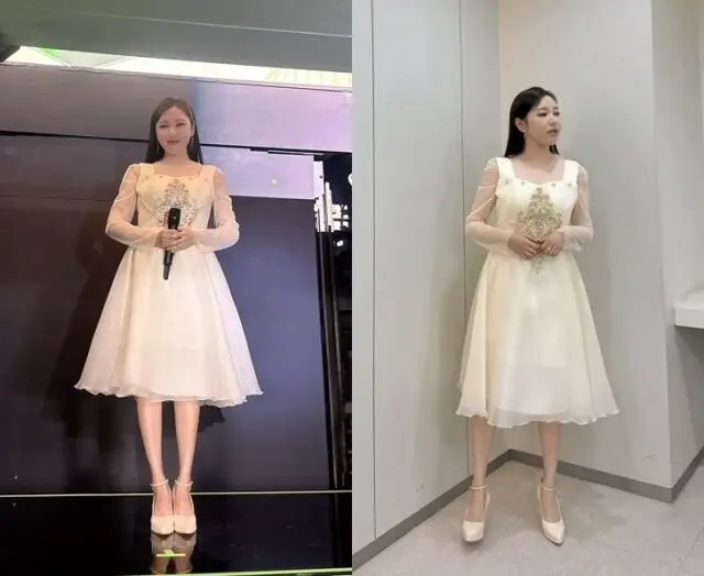 歌手宋歌人穿着精致白色刺绣长裙展现纤细侧影