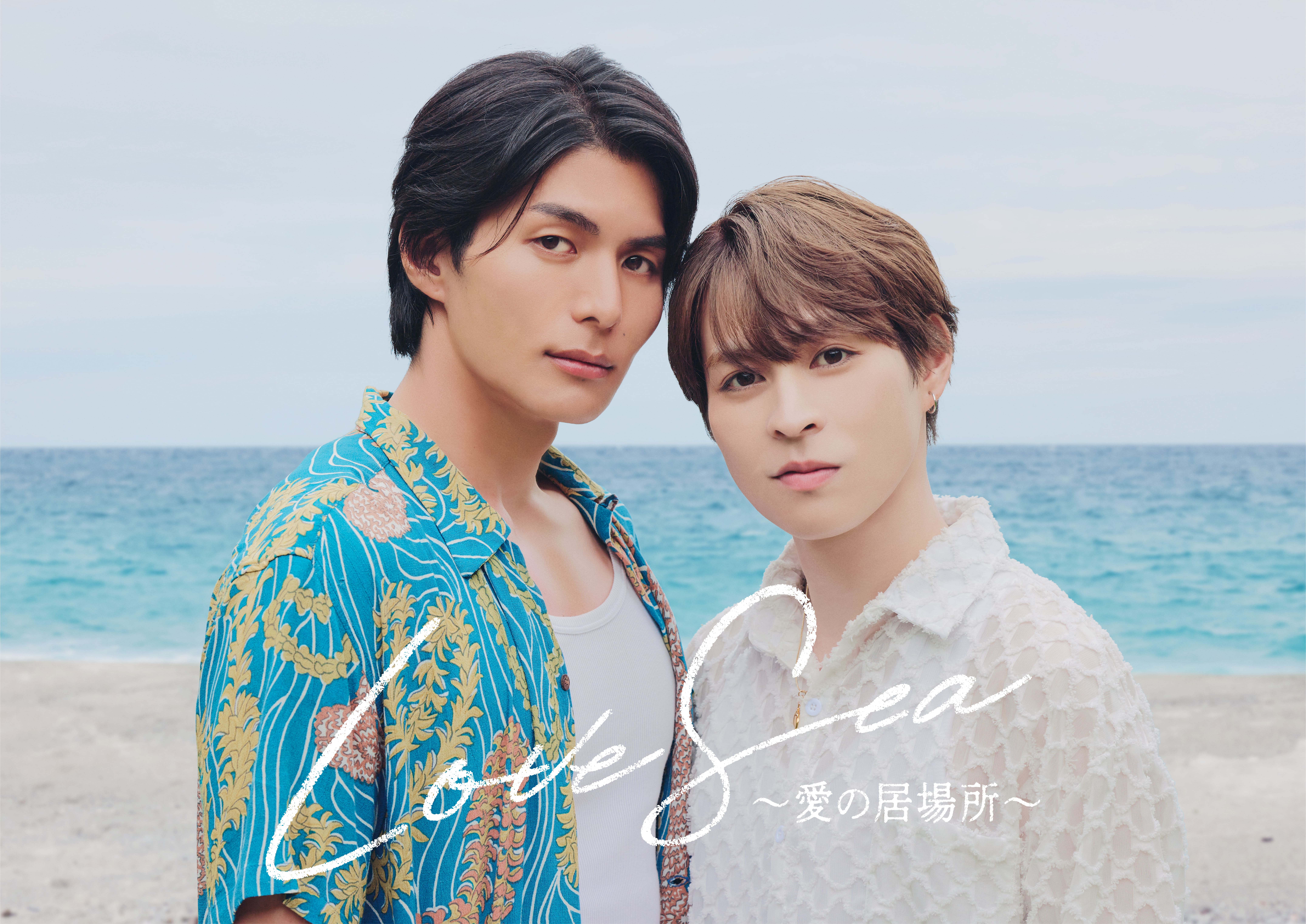 Love Sea爱的归属日剧海报