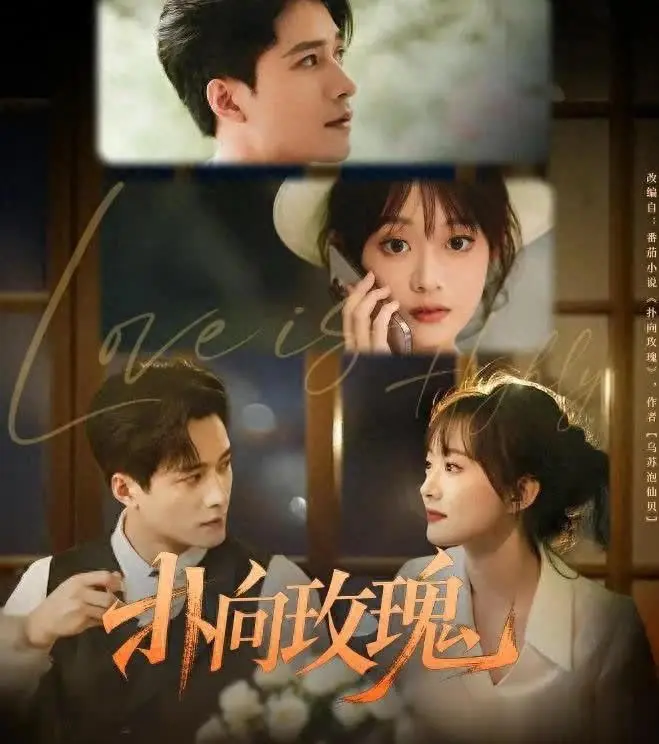爆款短剧《扑向玫瑰》剧情全拆解：先婚后爱的高甜逆袭之路